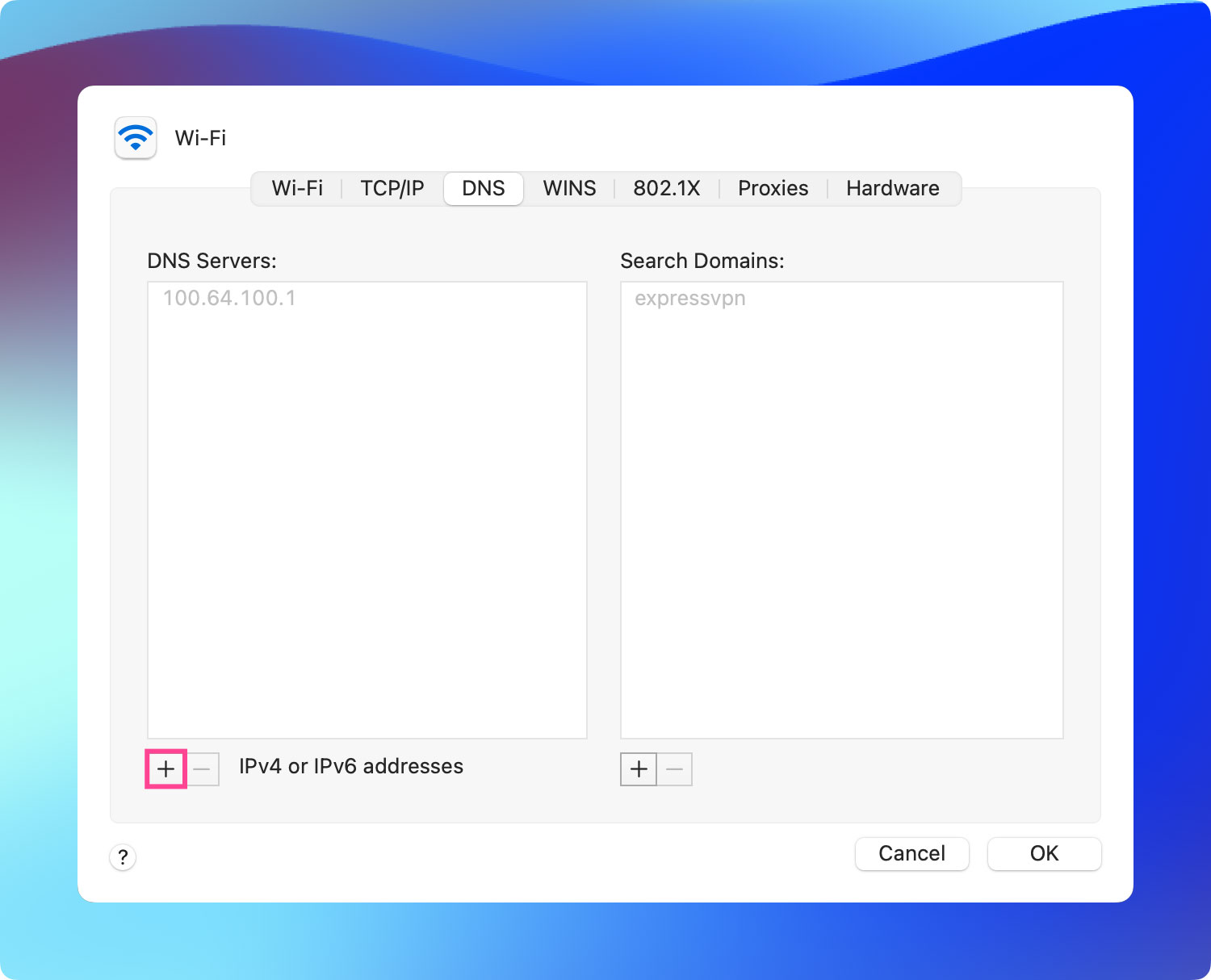 在 Mac Dns 上查找 Dns 服务器