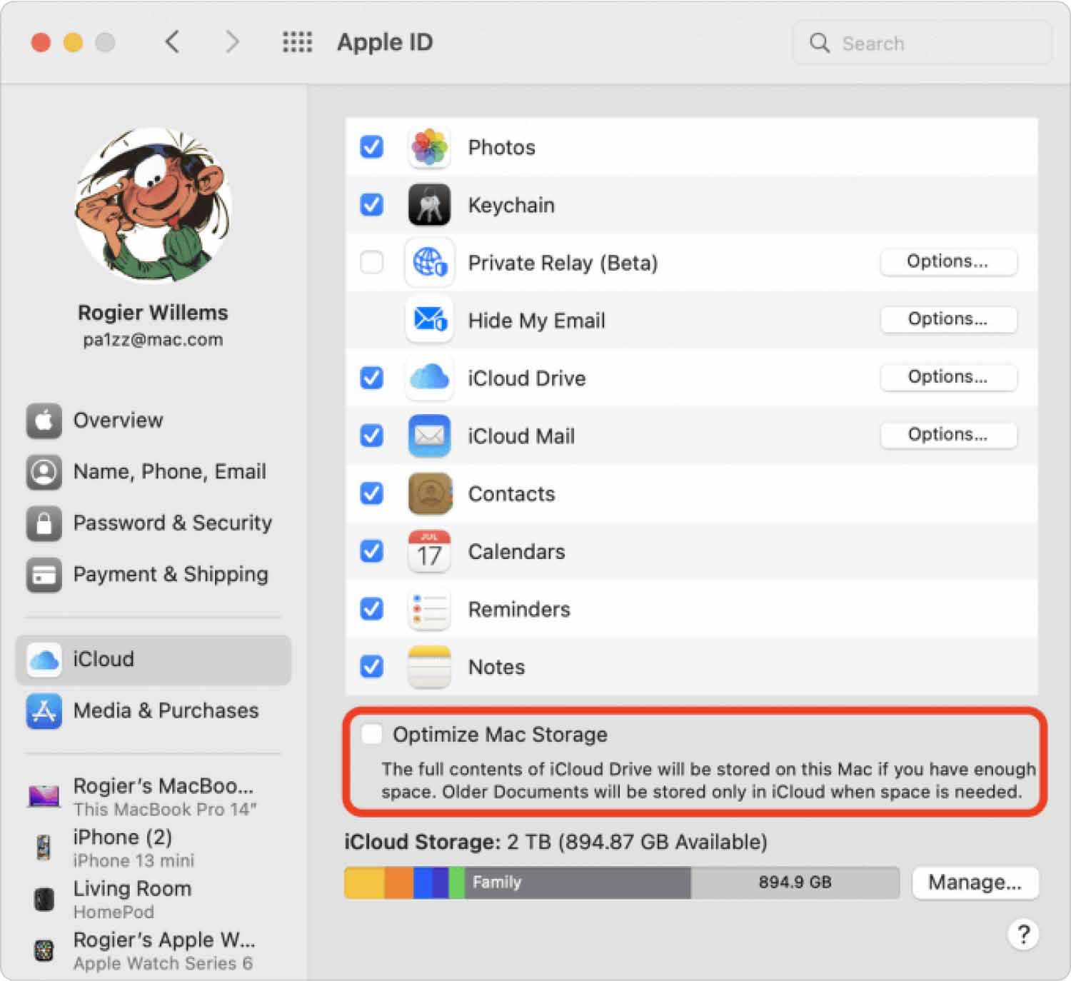 Turn Off Optimize Mac Storage Using iCloud