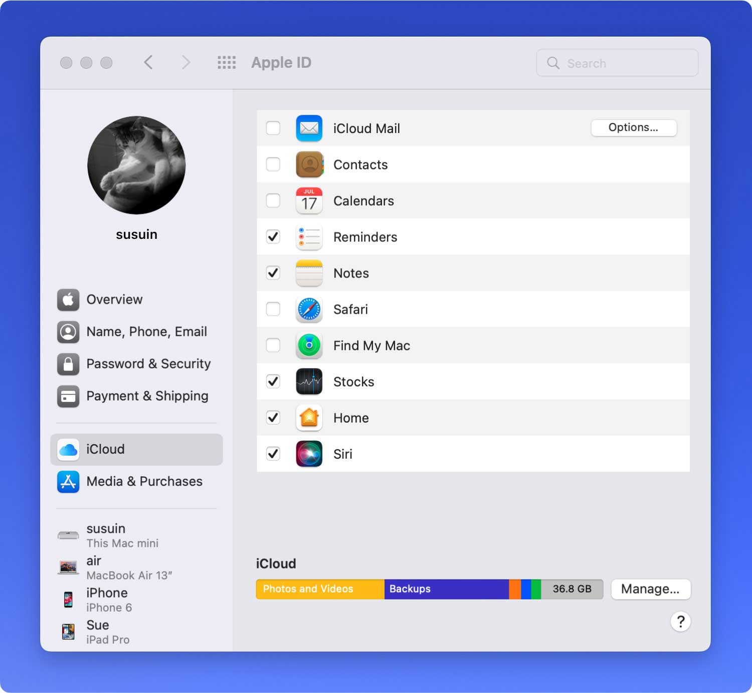 Dove sono archiviati i backup su Mac Icloud