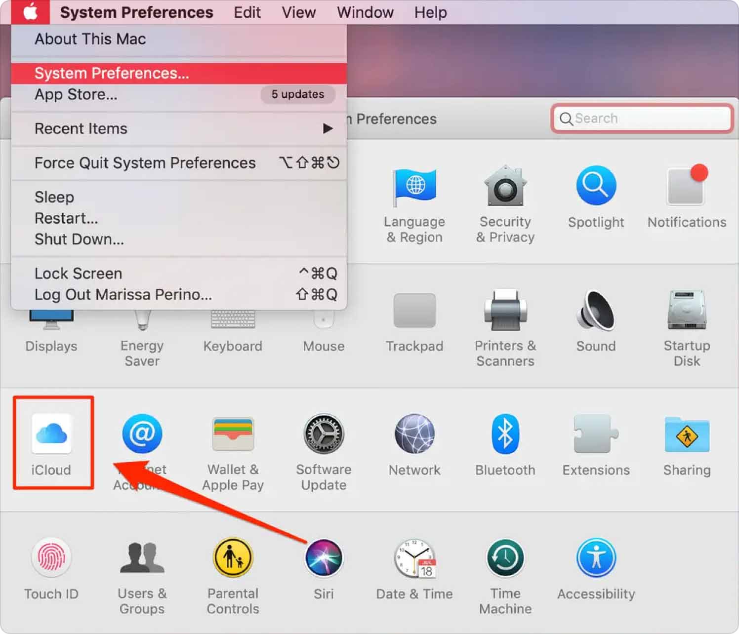 Access iPhone Backup Files on Mac Using the iCloud App
